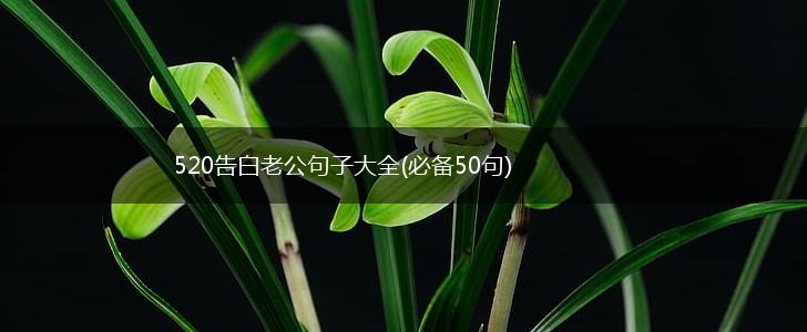 520告白老公句子大全(必备50句),第1张
