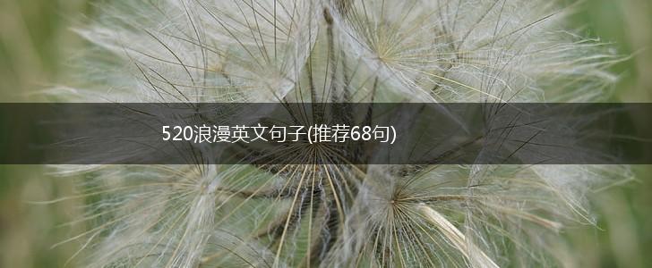 520浪漫英文句子(推荐68句),第1张