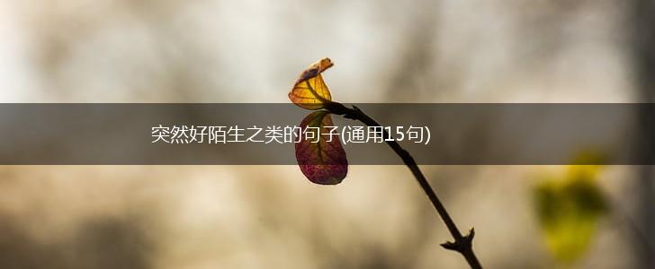 突然好陌生之类的句子(通用15句),第1张