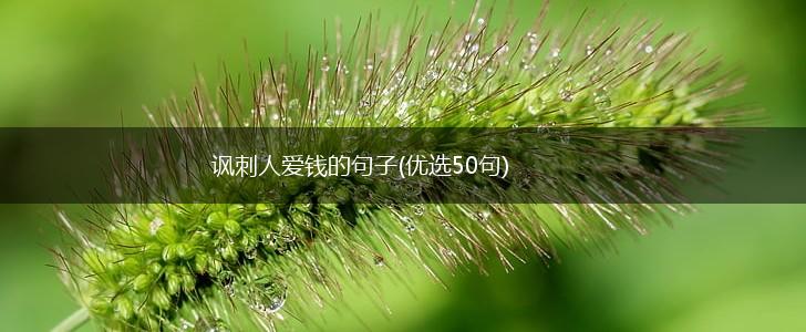 讽刺人爱钱的句子(优选50句),第1张