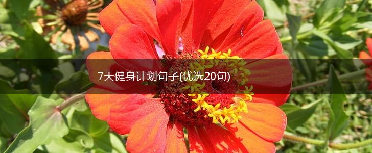 7天健身计划句子(优选20句),第1张