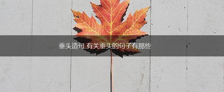 垂头造句 有关垂头的句子有那些,第1张