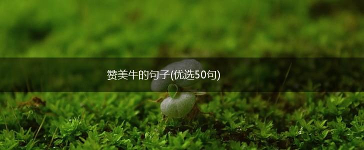 赞美牛的句子(优选50句),第1张