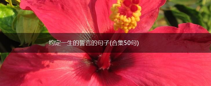 约定一生的誓言的句子(合集50句),第1张