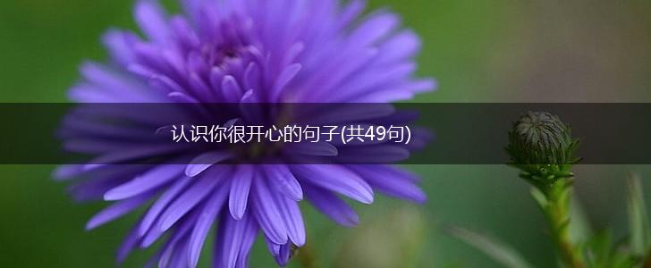 认识你很开心的句子(共49句),第1张