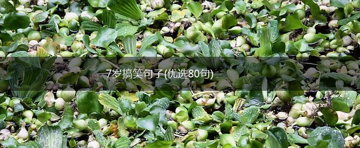 7岁搞笑句子(优选80句),第1张