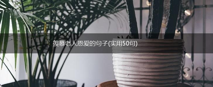 羡慕老人恩爱的句子(实用50句),第1张