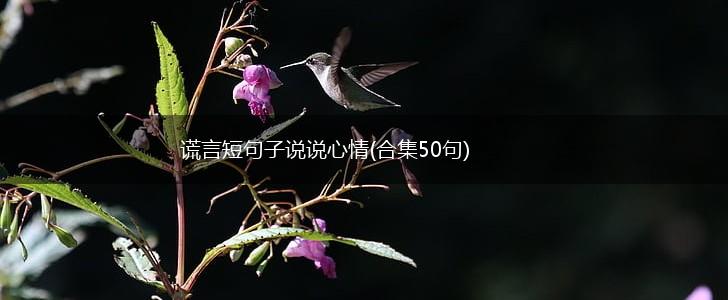 谎言短句子说说心情(合集50句),第1张
