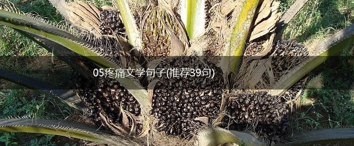 05疼痛文学句子(推荐39句),第1张