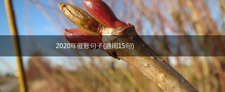 2020年催账句子(通用15句),第1张