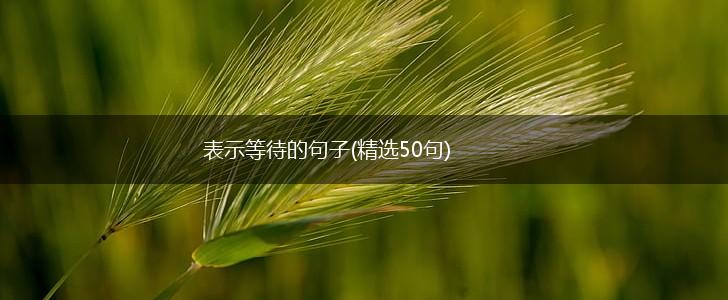表示等待的句子(精选50句),第1张