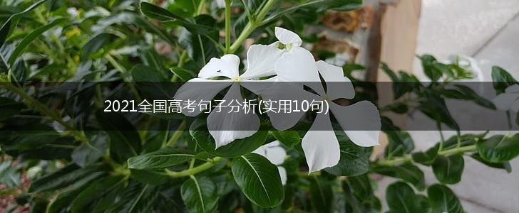2021全国高考句子分析(实用10句),第1张