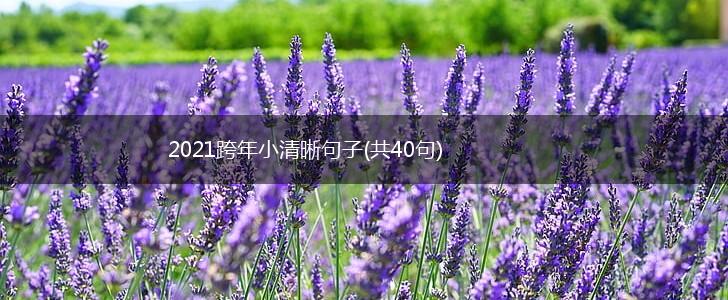 2021跨年小清晰句子(共40句),第1张
