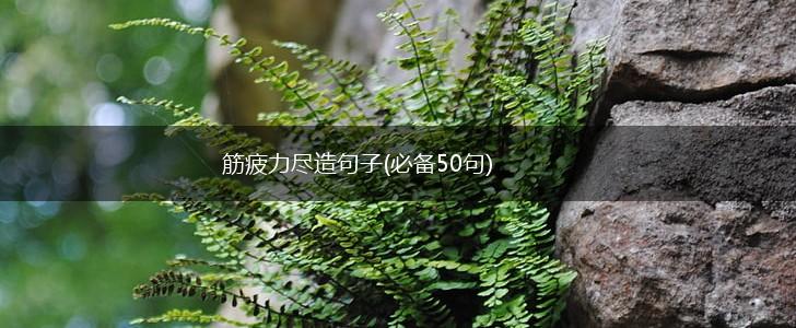 筋疲力尽造句子(必备50句),第1张
