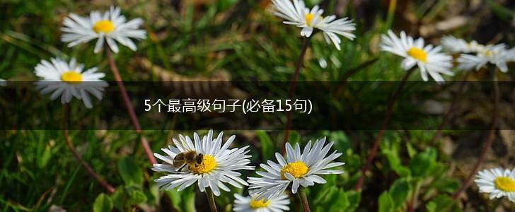5个最高级句子(必备15句),第1张