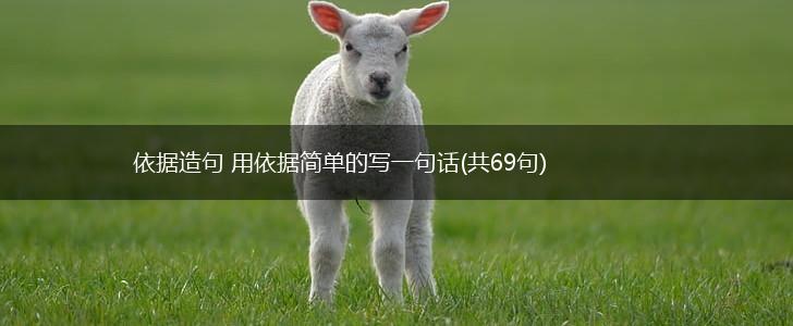 依据造句 用依据简单的写一句话(共69句),第1张