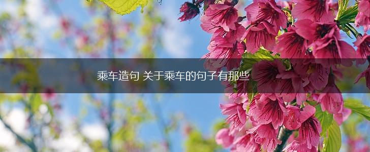乘车造句 关于乘车的句子有那些,第1张
