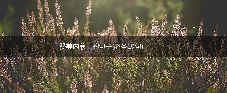 赞美内蒙古的句子(必备10句),第1张