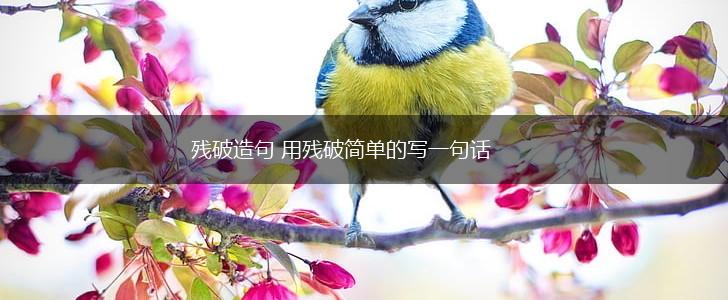 残破造句 用残破简单的写一句话,第1张