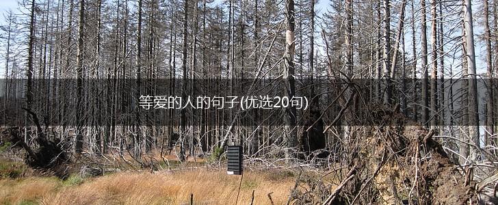 等爱的人的句子(优选20句),第1张