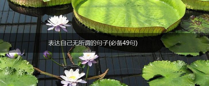 表达自己无所谓的句子(必备49句),第1张
