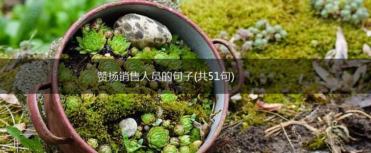 赞扬销售人员的句子(共51句),第1张