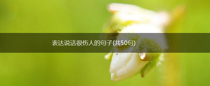 表达说话很伤人的句子(共50句),第1张