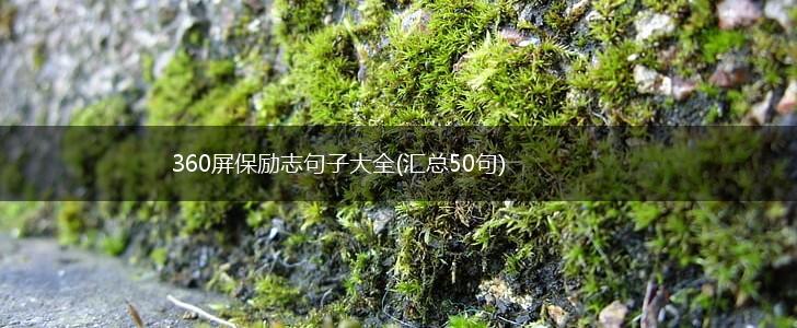 360屏保励志句子大全(汇总50句),第1张