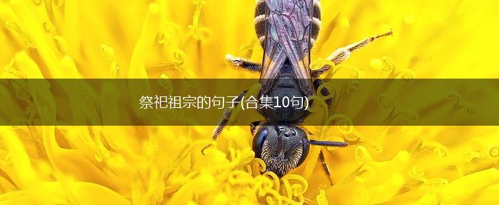 祭祀祖宗的句子(合集10句),第1张