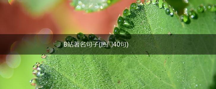 B站著名句子(热门40句),第1张