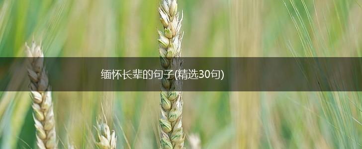 缅怀长辈的句子(精选30句),第1张