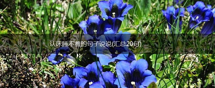 认床睡不着的句子说说(汇总20句),第1张