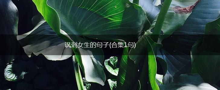 讽刺女生的句子(合集1句),第1张