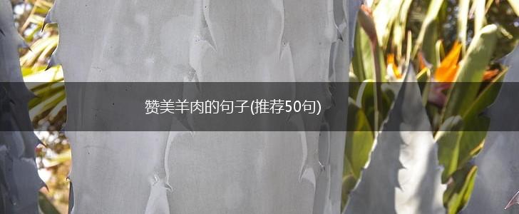赞美羊肉的句子(推荐50句),第1张