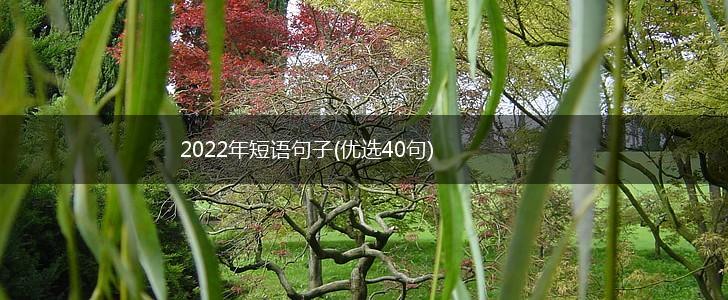 2022年短语句子(优选40句),第1张