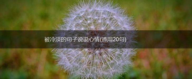 被冷淡的句子说说心情(通用20句),第1张