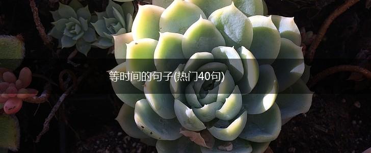 等时间的句子(热门40句),第1张