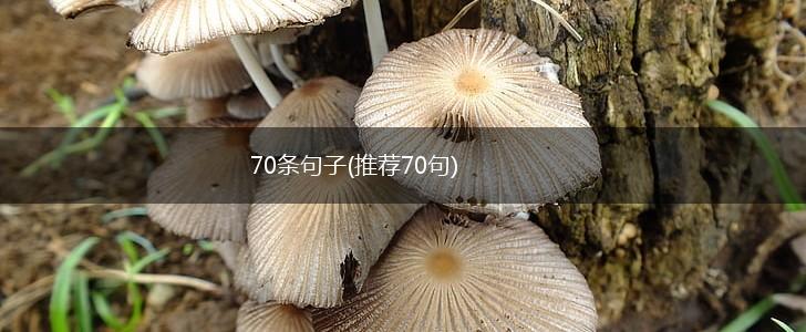 70条句子(推荐70句),第1张