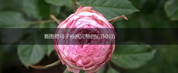 看图把句子补充完整(热门50句),第1张