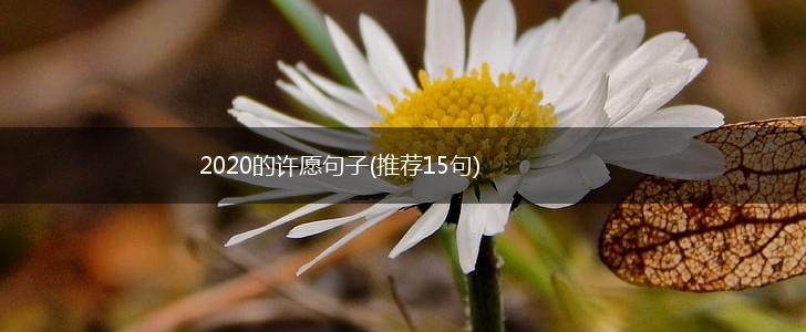 2020的许愿句子(推荐15句),第1张