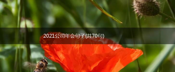 2021公司年会句子(共70句),第1张