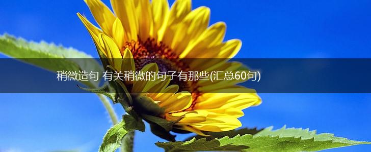 稍微造句 有关稍微的句子有那些(汇总60句),第1张