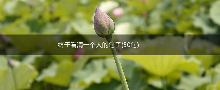 终于看清一个人的句子(50句),第1张