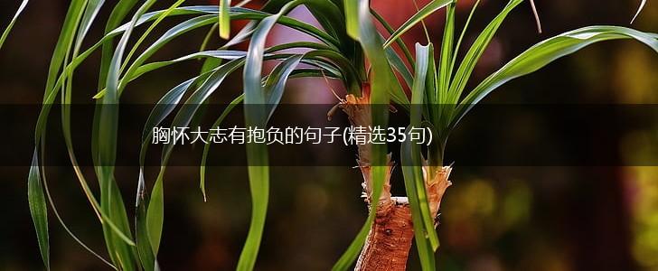 胸怀大志有抱负的句子(精选35句),第1张
