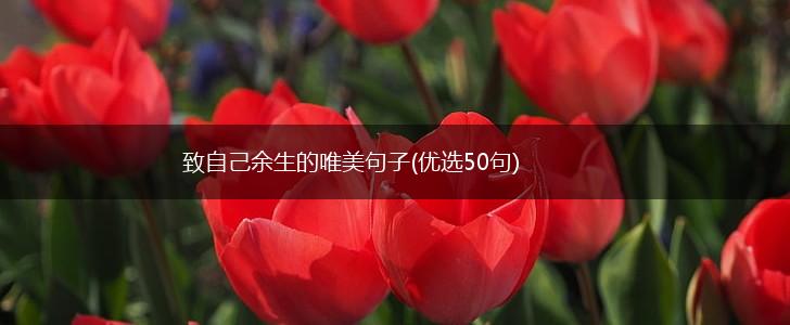 致自己余生的唯美句子(优选50句),第1张