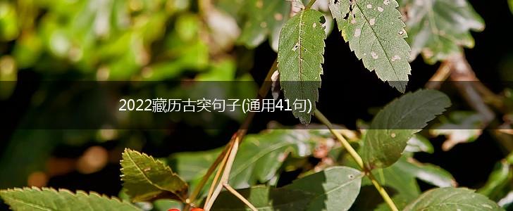 2022藏历古突句子(通用41句),第1张