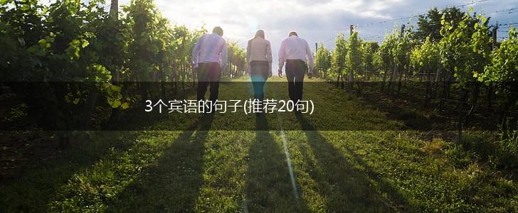 3个宾语的句子(推荐20句),第1张