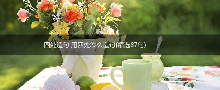 四处造句 用四处怎么造句(精选87句),第1张