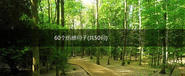 60个伤感句子(共50句),第1张