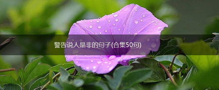 警告说人是非的句子(合集50句),第1张